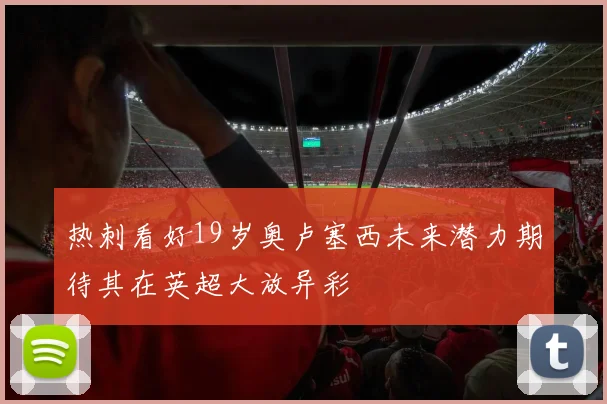 热刺看好19岁奥卢塞西未来潜力期待其在英超大放异彩
